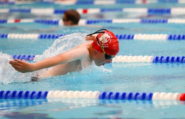 Hampshire Chronicle: Winchester City Penguins 20th Primary Schools swimming gala.